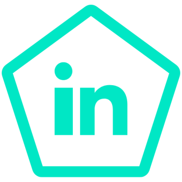 LinkedIn Icon 2025