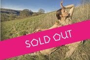 Ageless 2026 SOLD OUT_ Bird Nerd (c) Steve Skinley Ageless 2026 SOLD OUT_ Bird Nerd (c) Steve Skinley